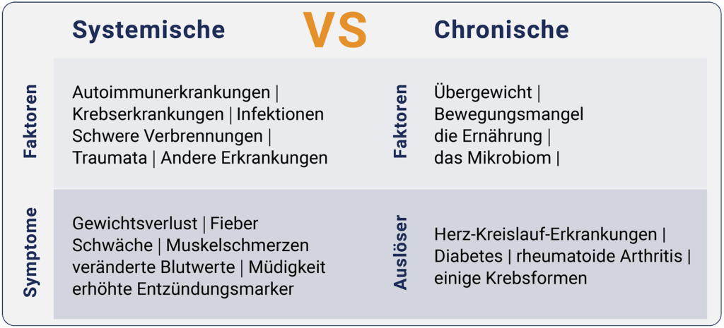 Eine visuelle Übersicht über Entzündungsprozesse und die Unterscheidung zwischen systemischen und chronischen Faktoren