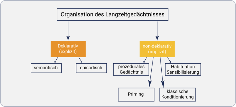 Grafik zur Organisation des Langzeitgedächtnisses in deklarative und non-deklarative Gedächtnissysteme